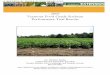 2009 Vermont Food Grade Soybean Performance Trial Results · 1F44 Blue River Organics 1.4 x x Auriga Elite - La Coop Fédérée 0.4 x CFS062 Elite - La Coop Fédérée 0.5 x Dares