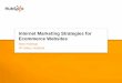 Internet Marketing Strategies for Ecommerce Websites · Internet Marketing Strategies for Ecommerce Websites Mark Roberge VP Sales, HubSpot. ... •Gift certificate or coupon 