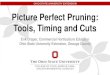 Picture Perfect Pruning: Tools, Timing and Cuts · Pruning resources All the tools you need Best time to prune Plant physiology & growth Making cuts Know thy plants Where to begin