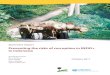 Summary report - Preventing the risks of corruption in ...€¦ · Preventing the risks of corruption in REDD+ in Indonesia 5 agreements and permits to determine the forest condition
