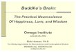 Omega Institute - WiseBrain · Buddha’s Brain: The Practical Neuroscience Of Happiness, Love, and Wisdom Omega Institute June 22-24, 2012 Rick Hanson, Ph.D. The Wellspring Institute