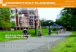 Summer 2019 CONNECTICUT PLANNING · a self-sustaining Regional Bikeshare system in 2020; how MetroCOG communities are collaborating on regulating shared, active transportation (think