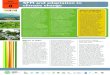 SFM and adaptation to 8 climate changeForest ecosystem-based adaptation. The most effective approaches to SFM employ ecosystem-based adaptation strategies, policies and practices such