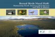 Maintaining North America’s Bird Nursery and Why …...communities and ecosystem services in the Canadian Boreal Forest requires that at least half of the area be protected from
