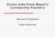 Bharat K Pokharel Peter Branney · Bharat K Pokharel Peter Branney Green Jobs from Nepal’s Community Forestry . ... Communities bear the cost . Now Forests in Dadapakhar Nepal in