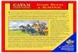 Catan Card Game, In the Catan Card Game,you control a growing realm engaged in a great struggle with your neighbor. Building roads and establishing settlements, you try to tame a land