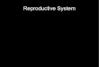 Reproductive System - Mt. SAC Reproduction revFA15.pdf · penis; on y contraceptive method that offers some STD protection to both partners. Circular rubber barrier inserted by women