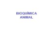 BIOQUÍMICA ANIMAL - Unesp · Bioquímica Metabólica Estuda as reações e transformações ligadas às vias de síntese e degradação das biomoléculas, bem como os seus mecanismos
