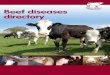 Beef diseases directory - AHDB Beef & Lambbeefandlamb.ahdb.org.uk/wp/wp-content/uploads/2016/... · Diseases in the UK cattle industry account for huge losses and are a major welfare