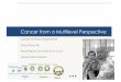 Cancer from a Multilevel Perspective - WordPress.com · Tissue architecture, the tissue microenvironment – inflammatory and immune response, the extracellular matrix– play an