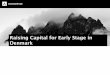 Raising Capital for Early Stage in Denmark · Capital! Now what? Equity External Financing Soft money Grants VC BA’s 3F Soft Loans Bank Loans Sweat Money • Innovationsmiljø,