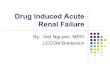 Drug Induced Acute Renal Failure - Nephrologyjeffkaufhold.com/wp-content/uploads/2018/03/Drug... · Drug Induced Acute Renal Failure By: Viet Nguyen, MSIV ... l Marked by a rise in