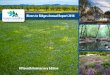 Rivers to Ridges Annual Report 2018...Rivers to Ridges Annual Report 2018 Cover Photos: Post Burn Prairie in WEW (Meadowhawk Imagery) Ecological Burn and Oaks at HBRA (Friends) Lower