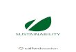 SUSTAINABILITY - d3bqbbwxyu4kci.cloudfront.net · and electrical engineering, sustainability and health and safety. Through our complementary and mutually supportive competencies,