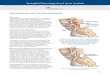Spondylolysis and Spondylolisthesis · 2018-10-04 · Spondylolysis and spondylolisthesis are conditions affecting the facet joints that align the vertebrae one on top of the other