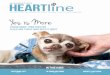 spring Yes is More - Sacramento SPCA · Yes is More Giving more than shelter & helping those who need it most In This Issue. THE SACRAMENTO SPCA fosters a loving and compassionate