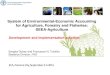 System of Environmental-Economic Accounting for Agriculture, … · 2015-09-10 · Background (1) • Work on the development of a System of Environmental-Economic Accounting for
