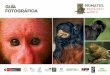 GUÍA FOTOGRÁFICA · “Primates amenazados del Perú”, que recorrerá varias regiones de nuestro país. Esta iniciativa busca promover la conservación de las especies de primates