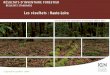 Les résultats : Haute-Loire - INVENTAIRE FORESTIER...RÉSULTATS D’INVENTAIRE FORESTIER – RÉSULTATS STANDARDS (campagnes 2009 à 2013) – Haute-Loire 18 Total Composition du