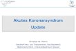 Akutes Koronarsyndrom Update - HERZ-FOCUS · Akutes Koronarsyndrom Update Christian W. Hamm Kerckhoff Herz- und Thoraxzentrum, Bad Nauheim & ... Recommendations for platelet inhibition