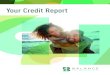 Your Credit Report - Balance PRO · FICO scores only use the information in your credit report that is predictive of future credit performance, specifically your payment history (35%),