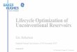 230 robertson Lifecycle Optimization of Unconventional ...Lifecycle optimization of unconventional reservoirs. November 14, 2017 3 Introduction Problem Statement • Optimization methods