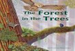 The Forest in the Trees - Arbordale Publishing€¦ · The Wild Trees: A Story of Passion and Daring. Random House (2007). “Redwood Ed: A Guide to the Coast Redwoods for Teachers