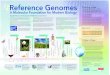 Reference Genomes - Science | AAAS The NCBI’s Genome Project lists 1,613 complete microbial sequences, plus 40 eukaryotes. Another 1,121 eukaryotic projects are listed as either
