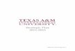 TAMIU 2011 2015 Strategic Plan 1 - Texas A&M University System · Strategic Plan for 2011-2015 . TEXAS A&M INTERNATIONAL UNIVERSITY MISSION . Texas A&M International University (TAMIU),