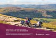 Tourism Development Framework for Scotland · The Tourism Development Framework for Scotland refresh 2016: role of the planning system in delivering the Visitor Economy (the Framework