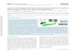 Robust and Antibacterial Polymer/Mechanically Exfoliated ...kqyxy.lzu.edu.cn/FHup/files/201905/05-24_102950-50.pdf · Robust and Antibacterial Polymer/Mechanically Exfoliated Graphene