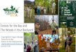 Forests for the Bay and The Woods in Your Backyard › channel_files › 22681 › wiyby_fwg.pdf · Forests for the Bay Alliance for the Chesapeake Bay chighfield@allianceforthebay.org
