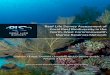 Reef Life Survey Assessment of Coral Reef …...Reef Life Survey Assessment of Coral Reef Biodiversity in the North-West Commonwealth Marine Reserves Network| vii species and higher