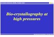 Bio-crystallography at high pressures › SOLEIL-LLB › monocristal2007 › topos › girard.pdf · Conclusion & Perspectives Is the ordering effect of high pressure on crystals