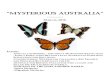 “Mysterious AustrAliA” · “mysterious australia” vol. 8, issue no 3 march, 2018. inside:.insects and spiders – the great worldwide extinction!insect population decline leave
