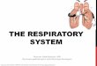 THE RESPIRATORY SYSTEM - JU Medicine › wp-content › ... · Obstructive lung disease: bronchial asthma, bronchiectasis, chronic bronchitis Intrabronchial tumors. Bronchiectasis