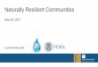 Naturally Resilient Communities - Amazon Web Services€¦ · Naturally Resilient Communities: Preparing for Sea Level Rise in Miami-Dade County Katie Hagemann ... • Climate Change