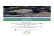 Från Skogforsk nr. 945-2017 Bestway€¦ · Bestway – Beslutsstöd för förslag till huvudbasvägar för skotare – Metodrapport Utvärderingar visar att markfuktighetskartorna