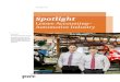 Spotlight - PwC€¦ · Spotlight Lessee Accounting ... credit ratings, and other external measures of financial strength. These impacts may spur companies to reassess lease-versus-buy