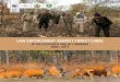 LAW ENFORCEMENT AGAINST FOREST CRIME · LAW ENFORCEMENT AGAINST FOREST CRIME IN THE EASTERN PLAINS OF CAMBODIA 2006 - 2011 REPORT. Eastern Plains Landscape Vision To preserve the