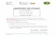 RAPPORT DE STAGE › wp-content... · RAPPORT DE STAGE *IUT DE CACHANT Université PARIS SUD De 2 juin à 15 juillet GEORGES DAHER Mon stage portera sur le développement d’une