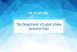 The Department of Labor’s New Overtime Rule · salaried employees for any overtime hours worked. Audit Trail: If an employee reports your organization for not following this regulation,