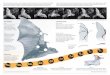 BAT ANATOMY COMPARING WINGS Batdjwillis/FlappingFlight/PDFS/NY_Times_Graphic.pdf · BAT ANATOMY COMPARING WINGS ... speeds and high angles of attack than a stiffer bird or insect