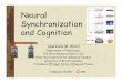 Neural Synchronization and Cognition...Hypothesis: oscillatory synchronization serves to create these transient networks Can study synchronization within and between brain regions
