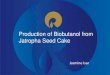 Production of Biobutanol from Jatropha Seed Cake...23© Reliance Industries Ltd., 2013 Butanol Titers Using Biomass Biomass Hydrolysate Additives in medium Butanol titer (gL-1) Productivity