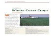Chapter 13 Winter Cover Crops - Organic Risk Management › sites › organicriskmanage… · Chapter 13 Winter Cover Crops W inter cover crops are planted into or af-ter harvest