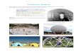 Geodesic Domes - Library Geodesic Domes Buckminster Fuller is best known for the invention of the geodesic