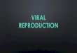 VIRAL REPRODUCTION - Biology by Napier€¦ · VIRAL REPRODUCTION. I WONDER ... while the viral DNA but the virus can be triggered to begin the In the viral DNA enters the cell and
