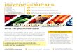 Nutrition and Health Fact Sheet: PHYTOCHEMICALS · that phytochemicals may help prevent cancer4 and type 2 diabetes.5 What food groups have phytochemicals? Fruits, vegetables, and