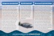 What happens when a marine mammal strands? Why do marine … · information on the biology and ecology of marine mammal species, such as an animal’s range, age, the types of prey